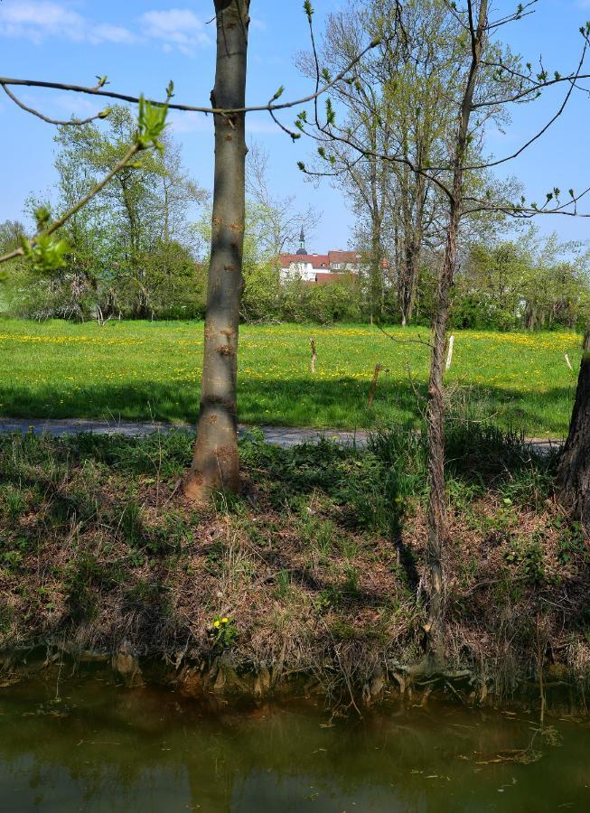 Ferienhaus Am Kamskefliess Lübbenau Exterior foto